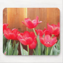 Suche nach bunte tulpen mousepads Rot