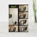 Suche nach gegangen karten Tiere