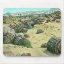 Suche nach versteinertes mousepads Arizona