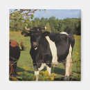 Suche nach hörner magnete Stier