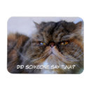 Suche nach fell magnete Katze