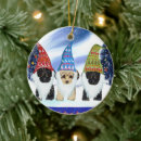 Suche nach poo ornamente Yorkshire terrier