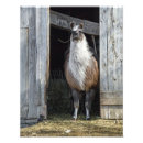 Suche nach komische kunst Tiere
