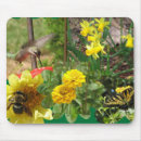 Suche nach im flug mousepads Kolibris