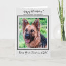 Suche nach haustier fotokarten Vom hund