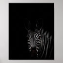Suche nach zebra foto poster Zebradruck