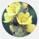 Suche nach käfer aufkleber Blume
