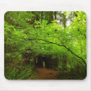 Suche nach ahornbaum mousepads Wald
