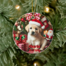 Suche nach labrador ornamente Haustier