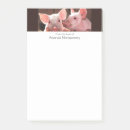 Suche nach ferkel post it Rosa