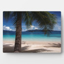 Suche nach insel fotoplatten Palmen