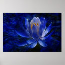 Suche nach blaue lilie poster Blumen