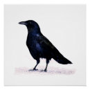 Suche nach crow poster Vogelvogel