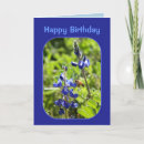 Suche nach texasbluebonnet Bluebonnets