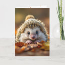 Suche nach lustige igel karten Waldland