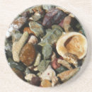 Suche nach muscheln untersetzer Koralle