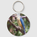 Suche nach eisvogel accessoires Australisch