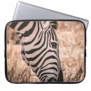 Suche nach etosha Landschaftlich