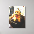 Suche nach kamin leinwandbilder Hunde