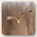 Suche nach boden untersetzer Wild