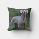 Suche nach weimaraner kissen Tier