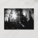 Suche nach baumzüchter visitenkarten Baumzucht