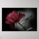 Suche nach schrein poster Rose
