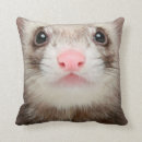 Suche nach frettchen kissen Haustier