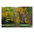 Suche nach herbstlandschaft poster Natur