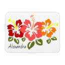 Suche nach hibiskus magnete Rosa