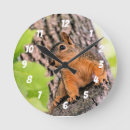 Suche nach schüchtern Natur