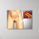 Suche nach grauer hintergrund leinwandbilder Illustration
