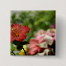 Suche nach cindy buttons Port