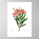 Suche nach oleander poster Vintag
