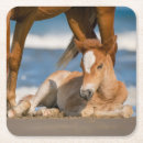 Suche nach pferde untersetzer Senf