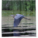 Suche nach watender vogel Wild lebende tiere