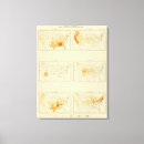 Suche nach migration poster Sechs