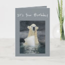 Suche nach eisbär geburtstag karten Lustig