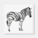 Suche nach zebra magnete Tiere