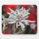 Suche nach austria mousepads Blume