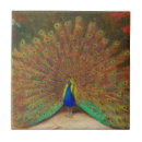 Suche nach vintager pfau fliesen Pfaus