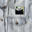 Suche nach sitz buttons Wild lebende tiere