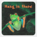 Suche nach roter frosch aufkleber Frösche