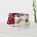 Suche nach schüchtern karten Katze