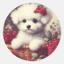 Suche nach bichons aufkleber Niedlich