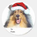 Suche nach collies aufkleber Tier