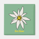 Suche nach edelweiss magnete Blume