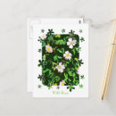 Suche nach wilde rose poster Pflanze