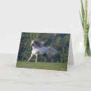 Suche nach lusitano karten Grau