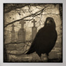 Suche nach crow poster Vogelvogel